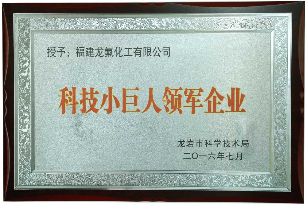 科技小巨人領(lǐng)軍企業(yè)